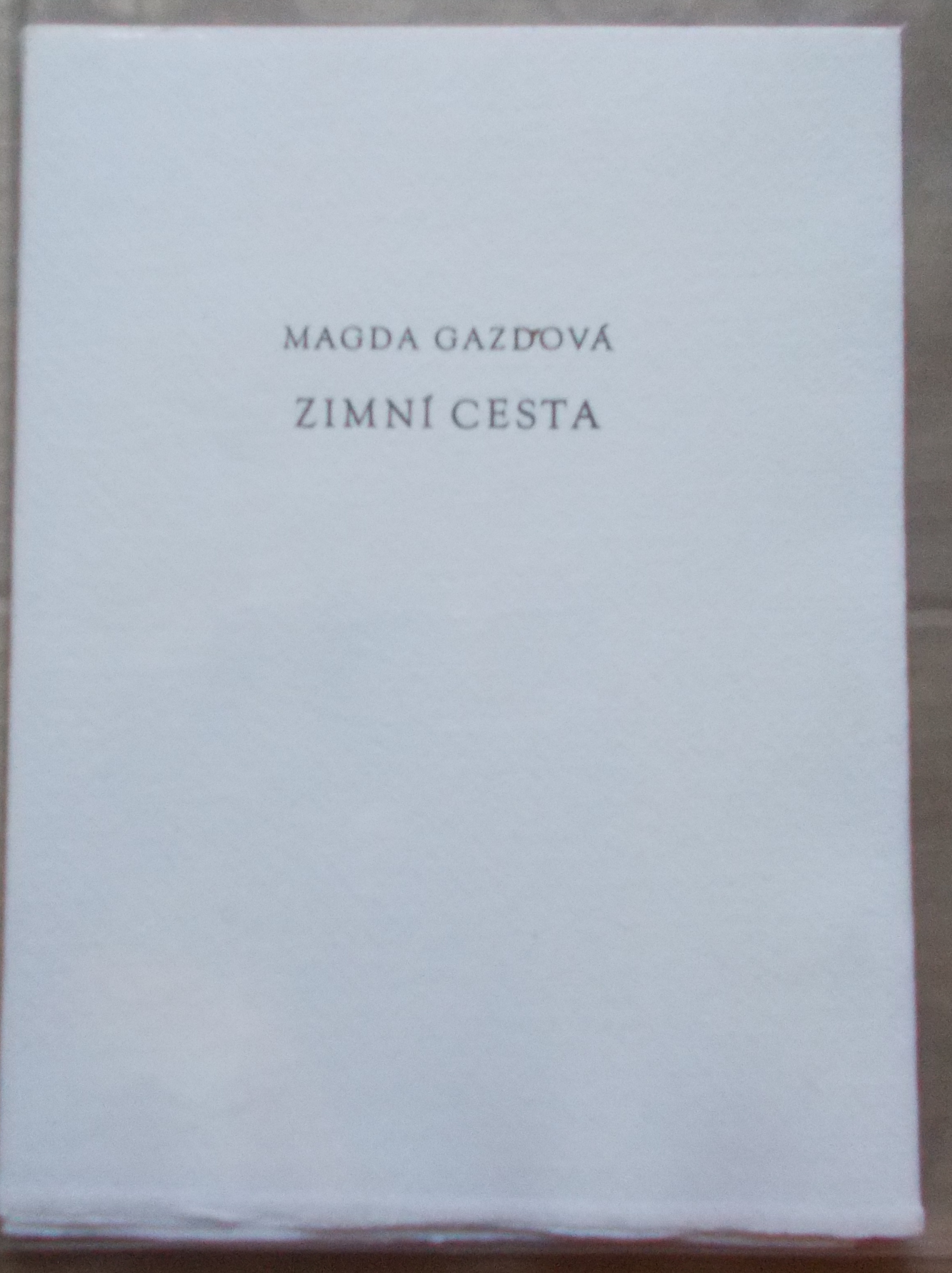 Magda Gazdová: Zimní cesta