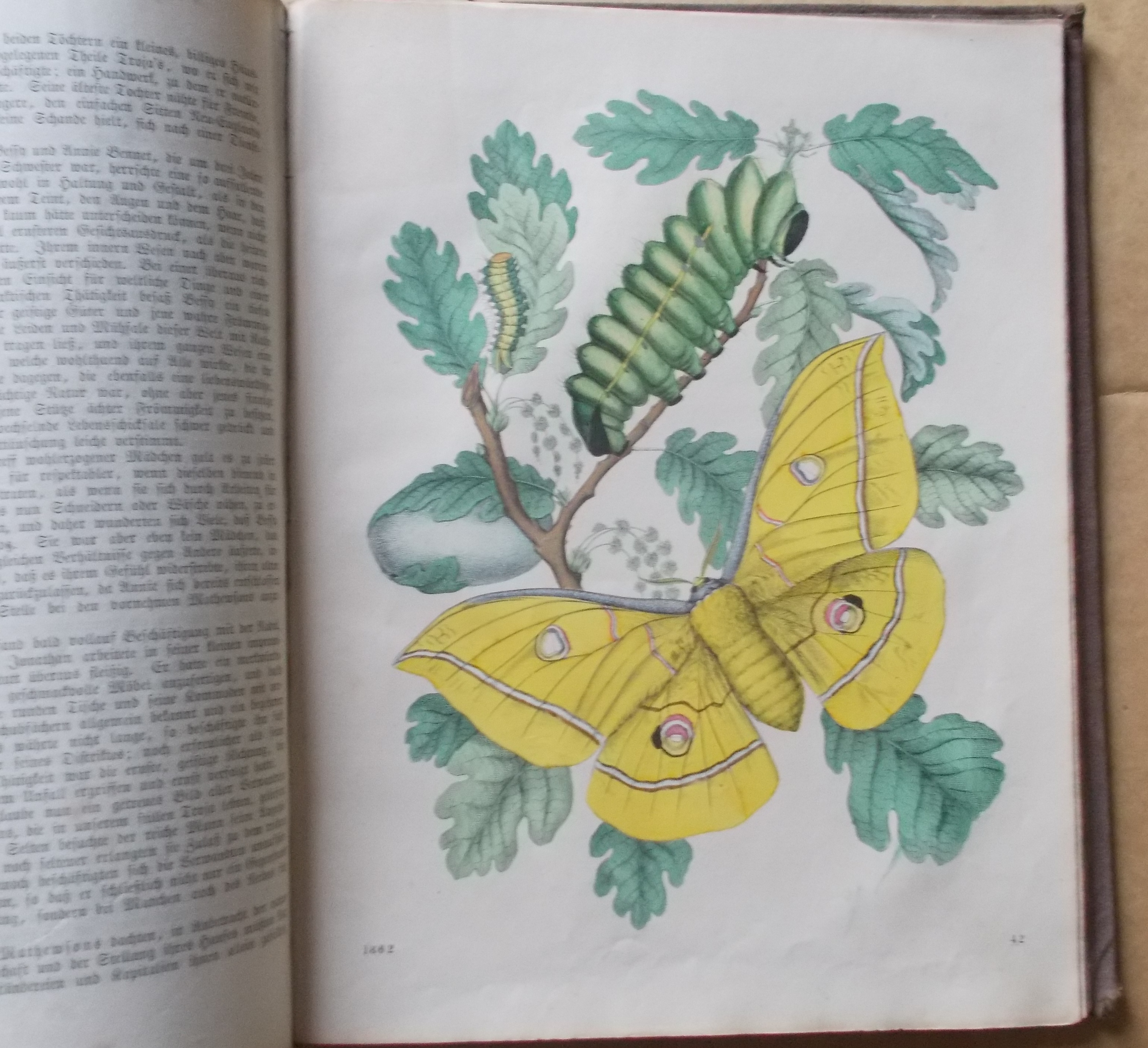 Das Buch der Welt 1862