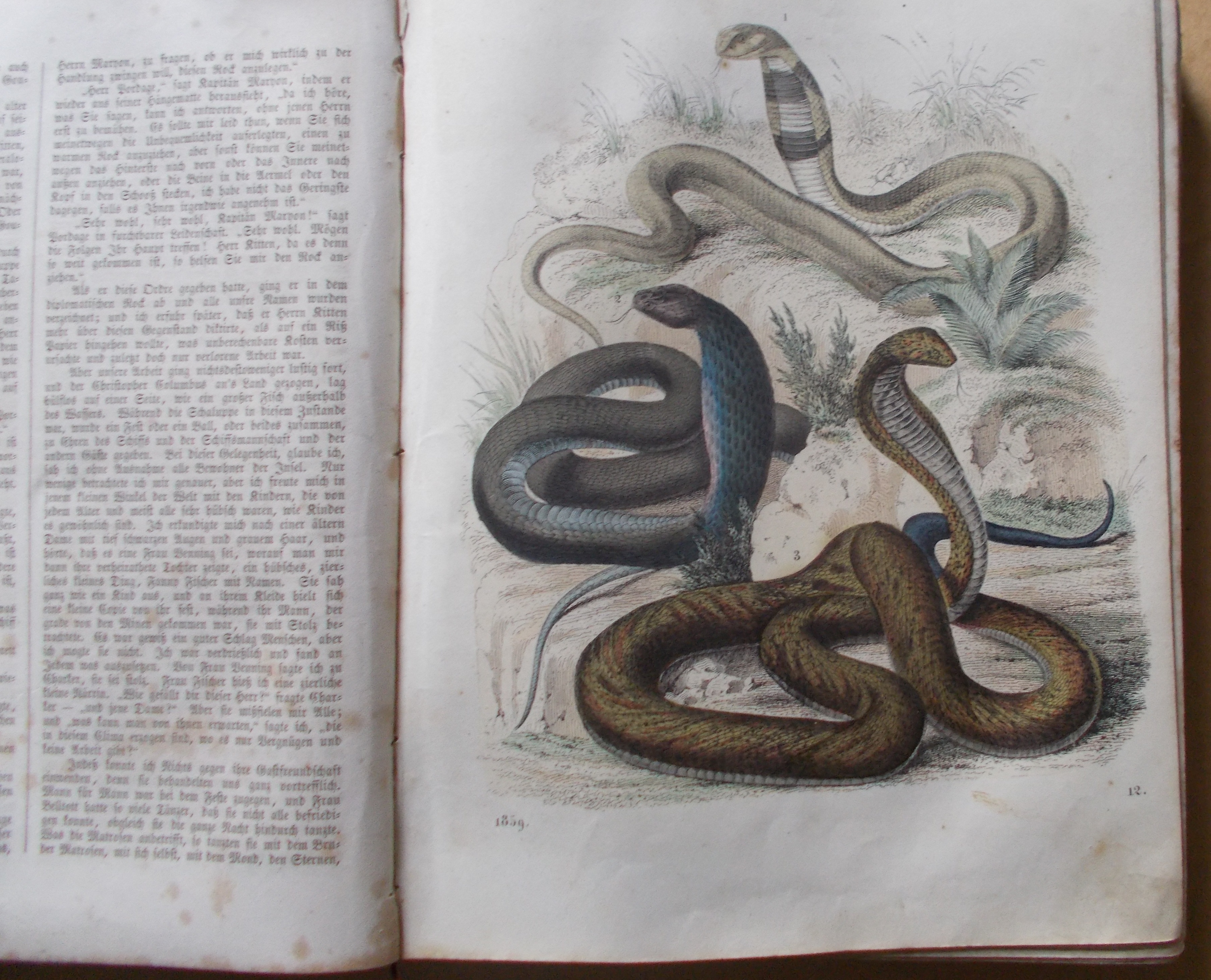 Das Buch der Welt 1859