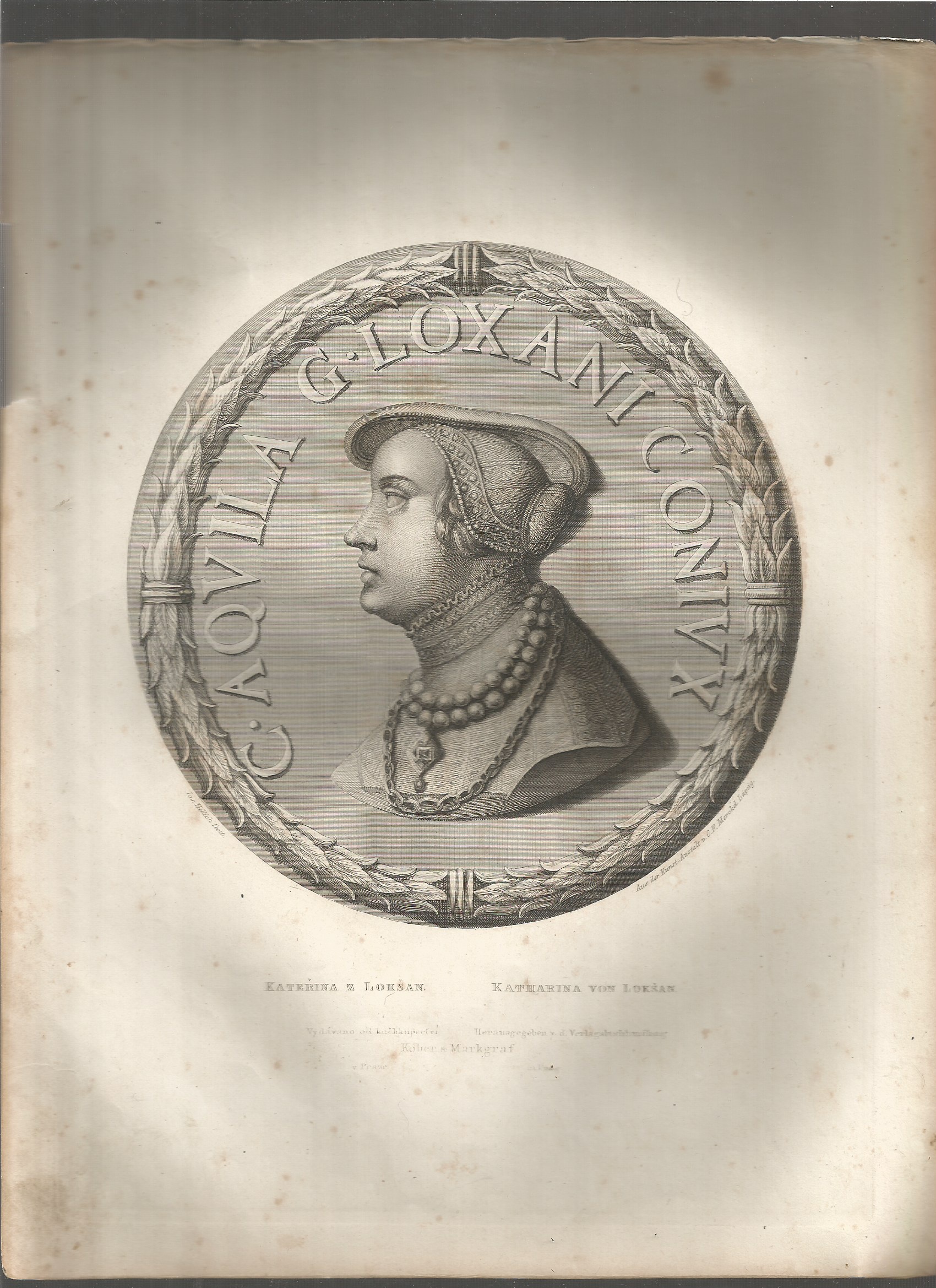 Kateřina z Loksan