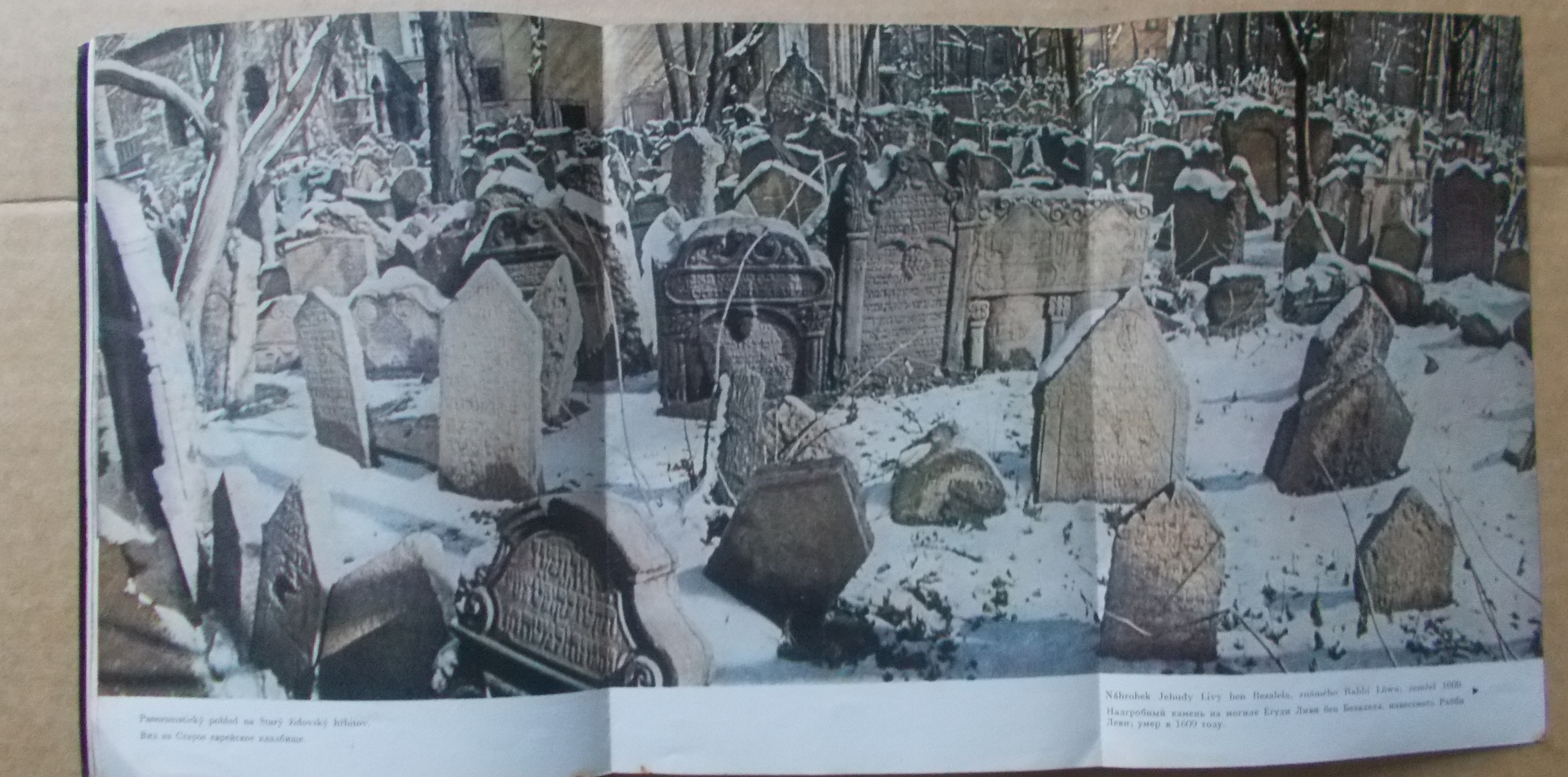 Státní židovské muzeum v Praze
