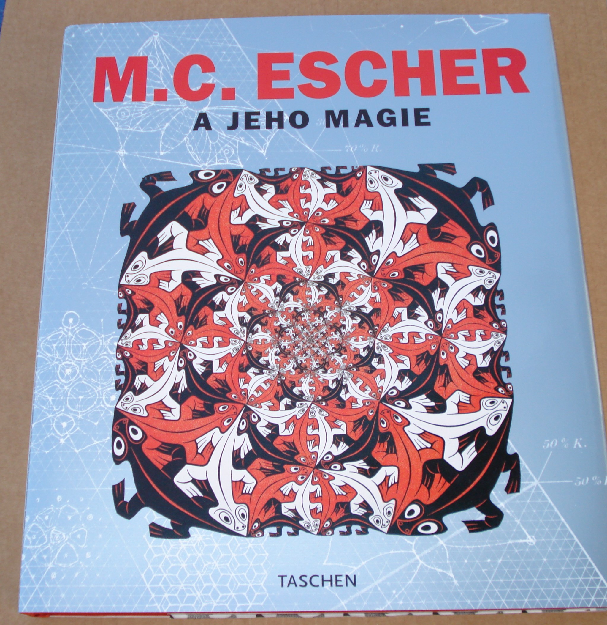 M. C. Escher a jeho magie