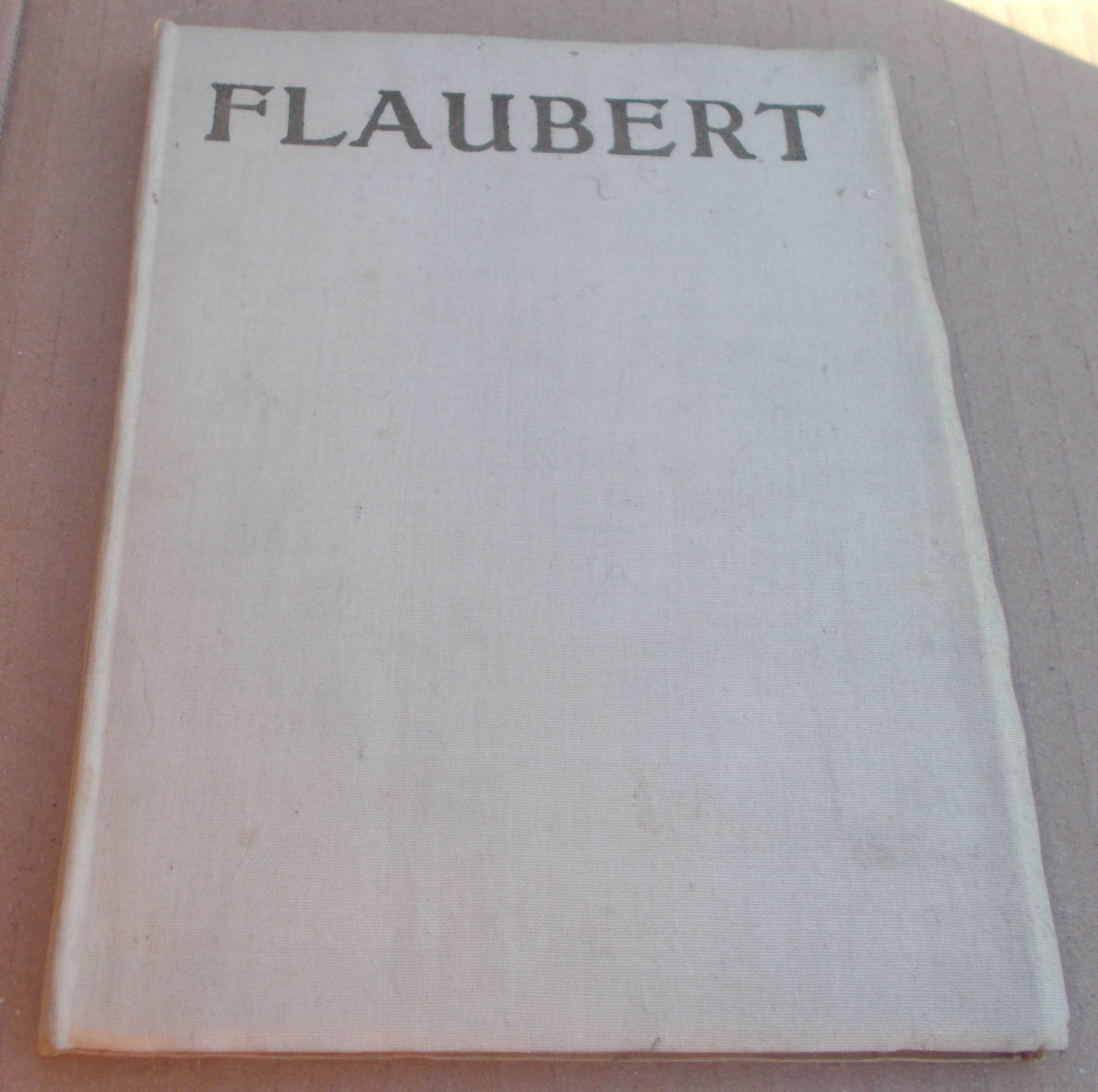 Mladého Flauberta zápisky z cest
