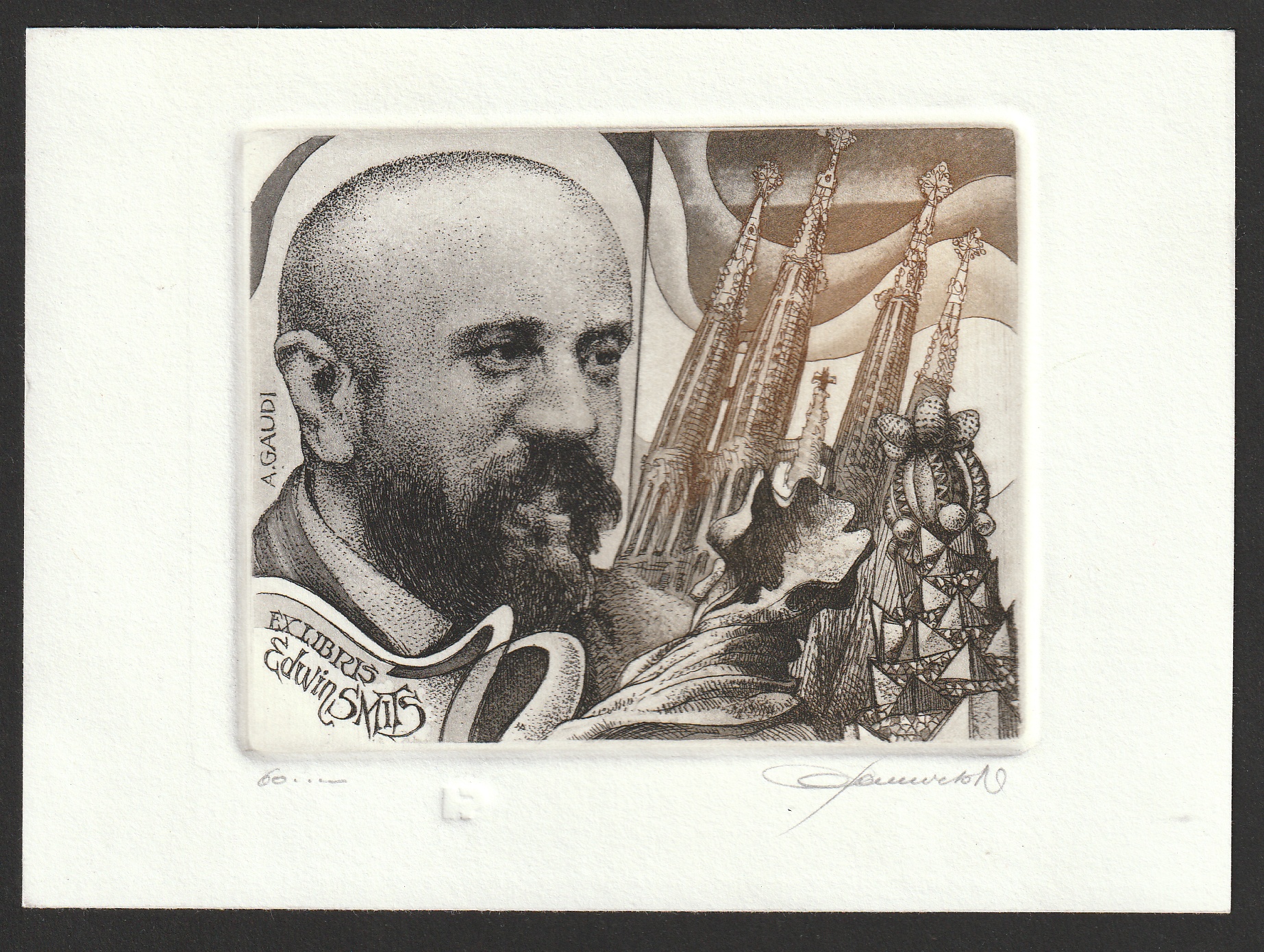 Hedwig Pauwels