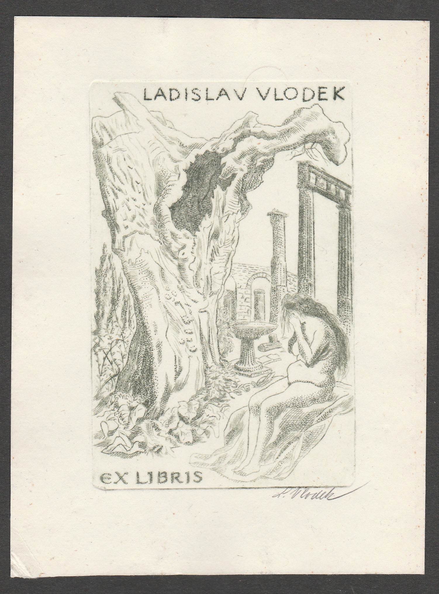 Ladislav Vlodek