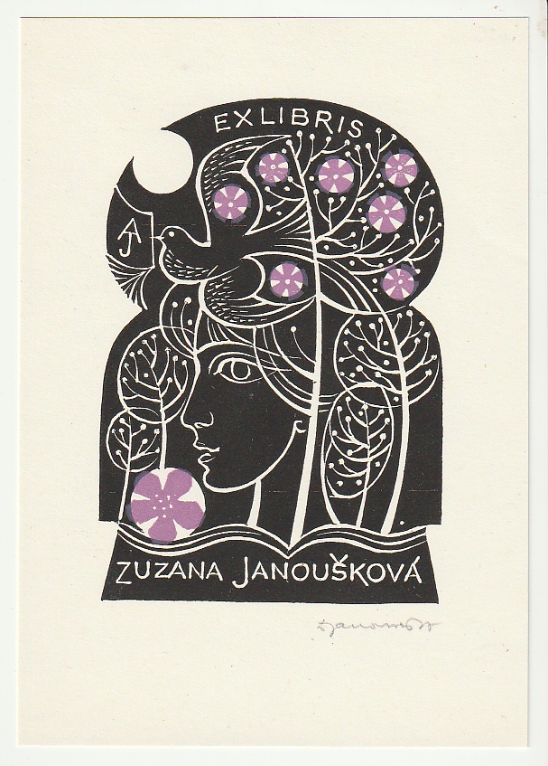 Dušan Janoušek