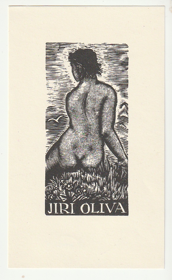 Josef Hodek