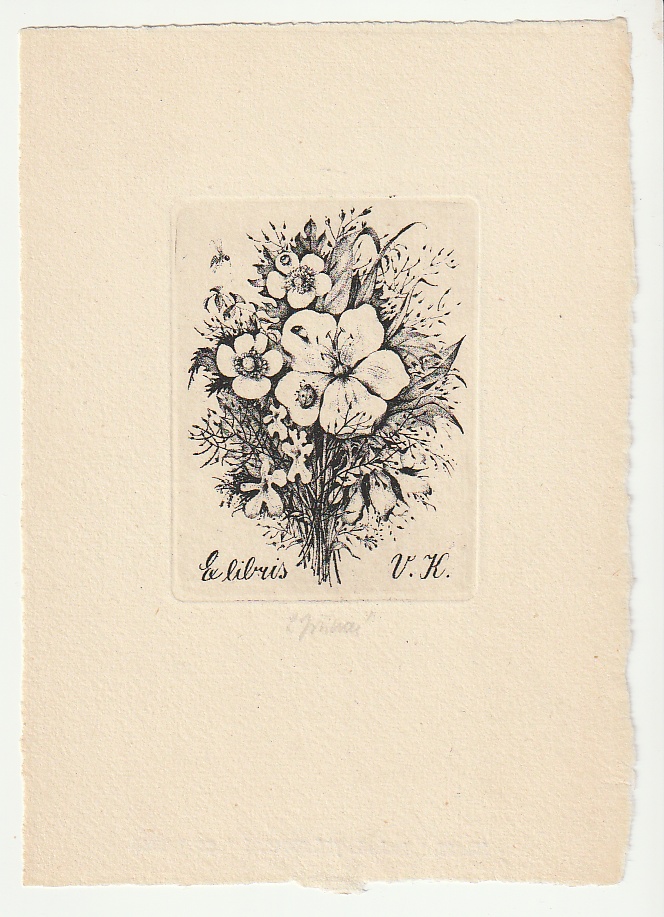 Ludmila Jiřincová