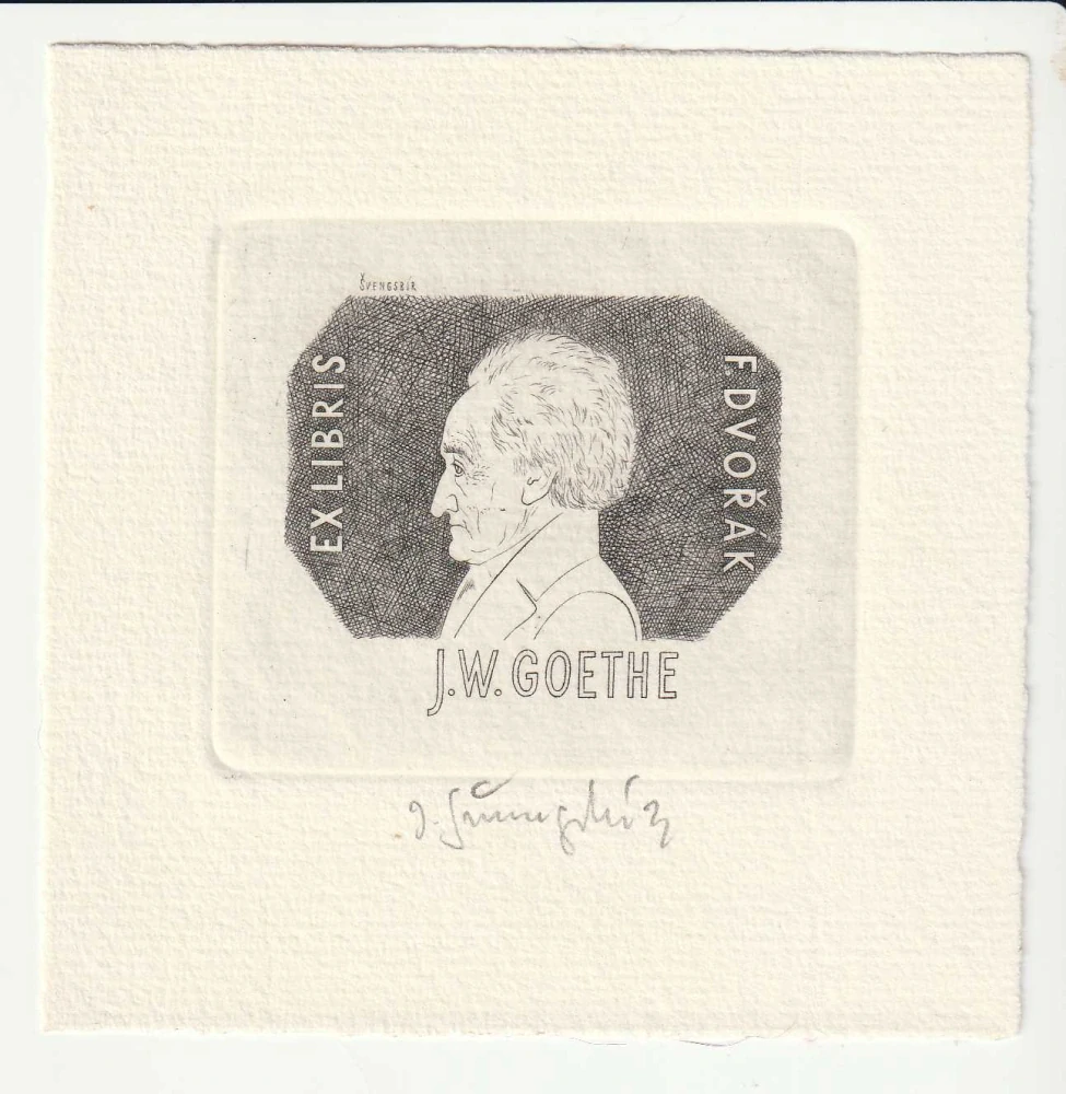 Jiří Švengsbír