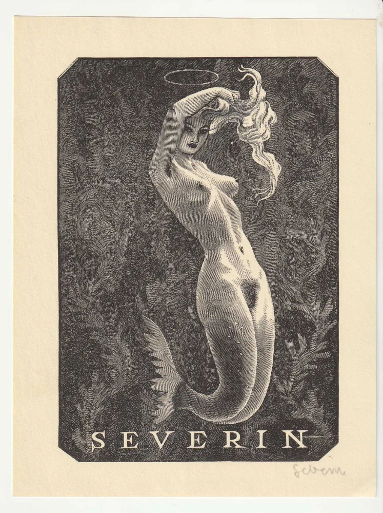 Mark Severin