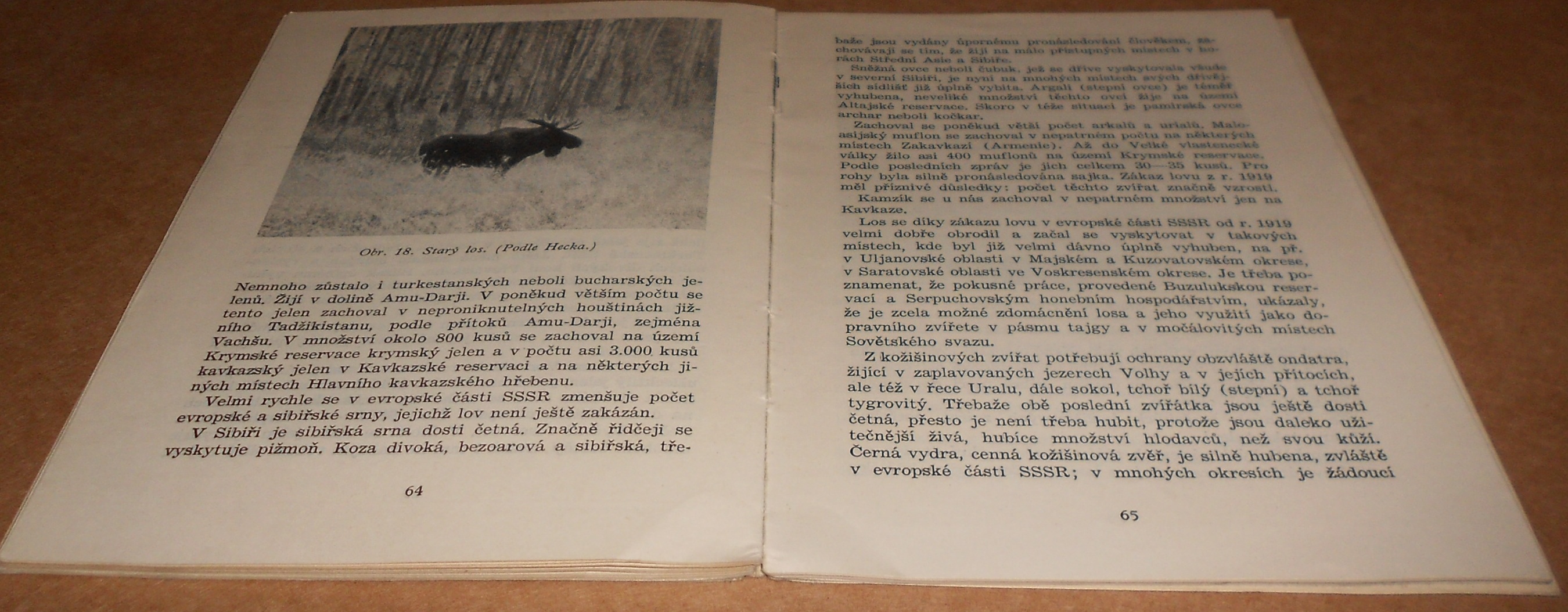 V.N.Makarov: Ochrana přírody v SSSR