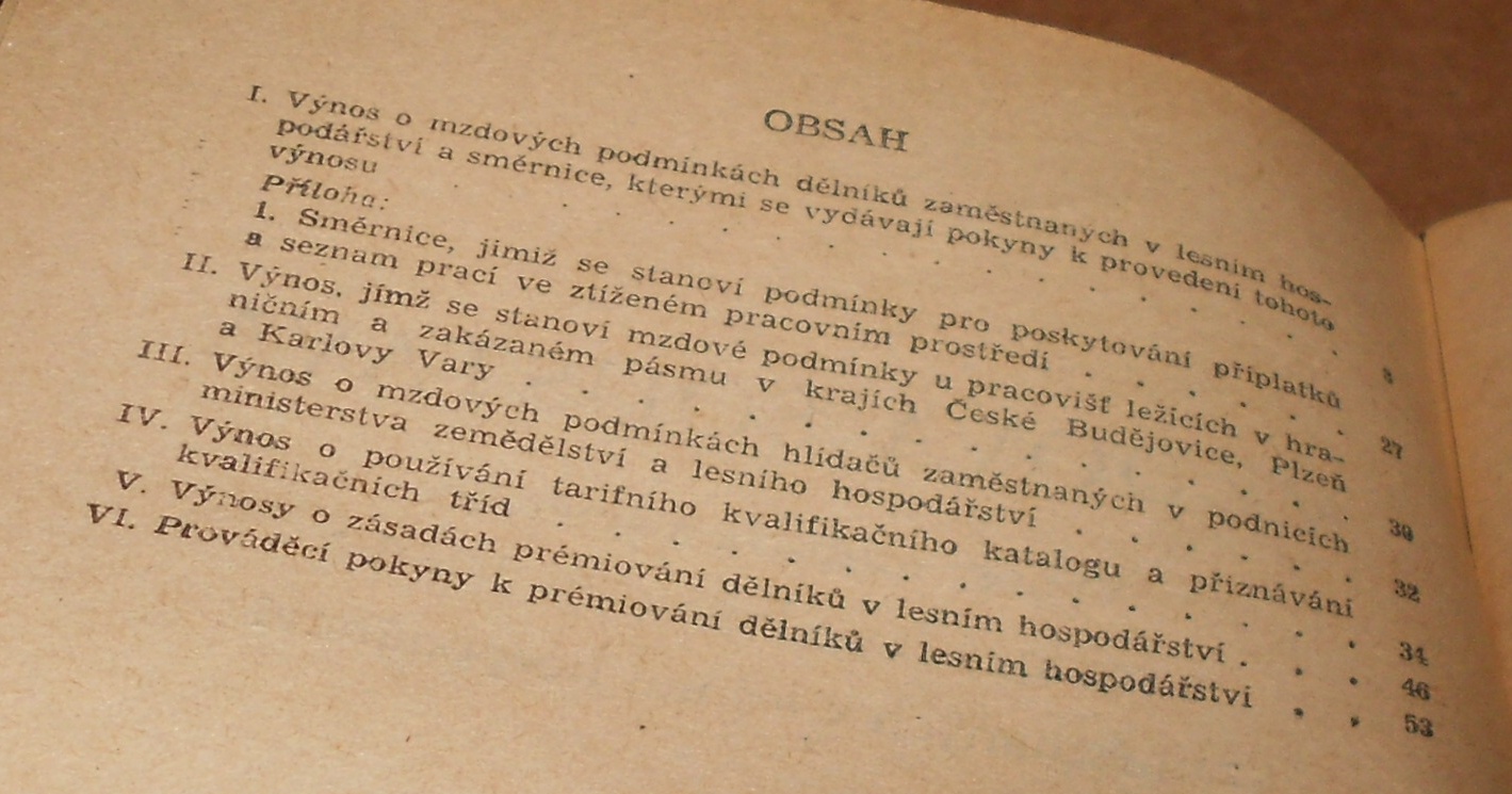 Mzdová soustava v lesním hospodářství