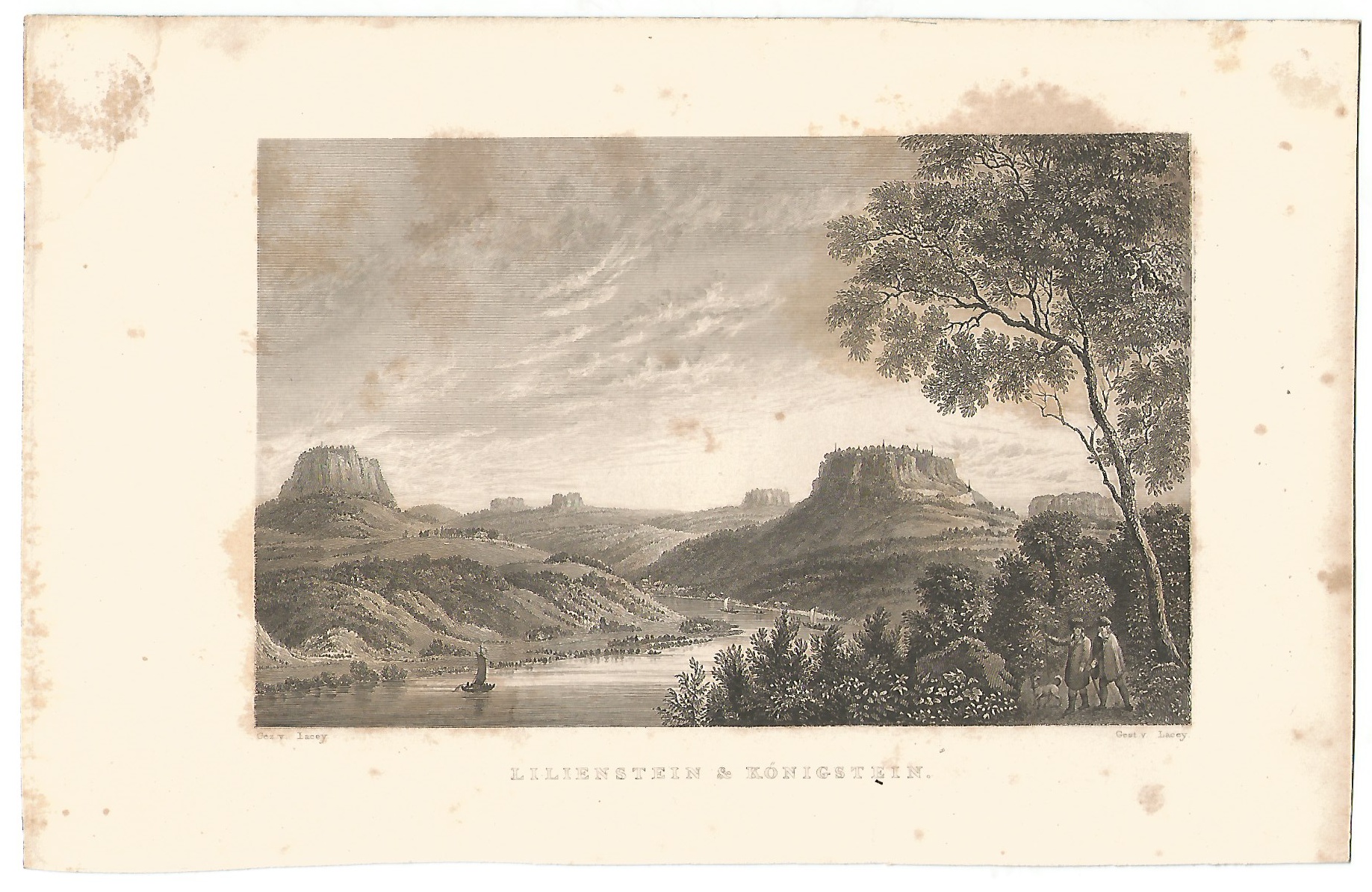 Lacey: Lilienstein und Königstein