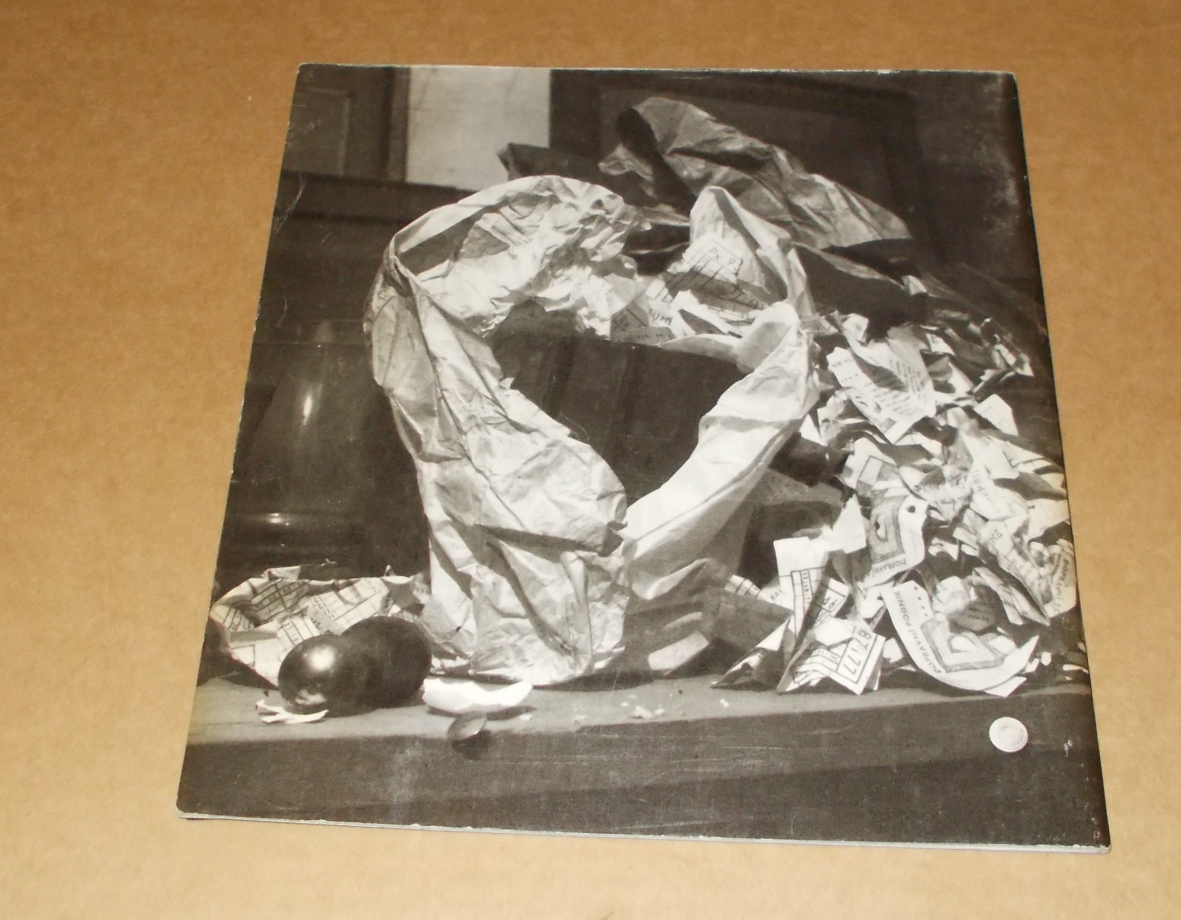 Anna Fárová: Fotograf Josef Sudek