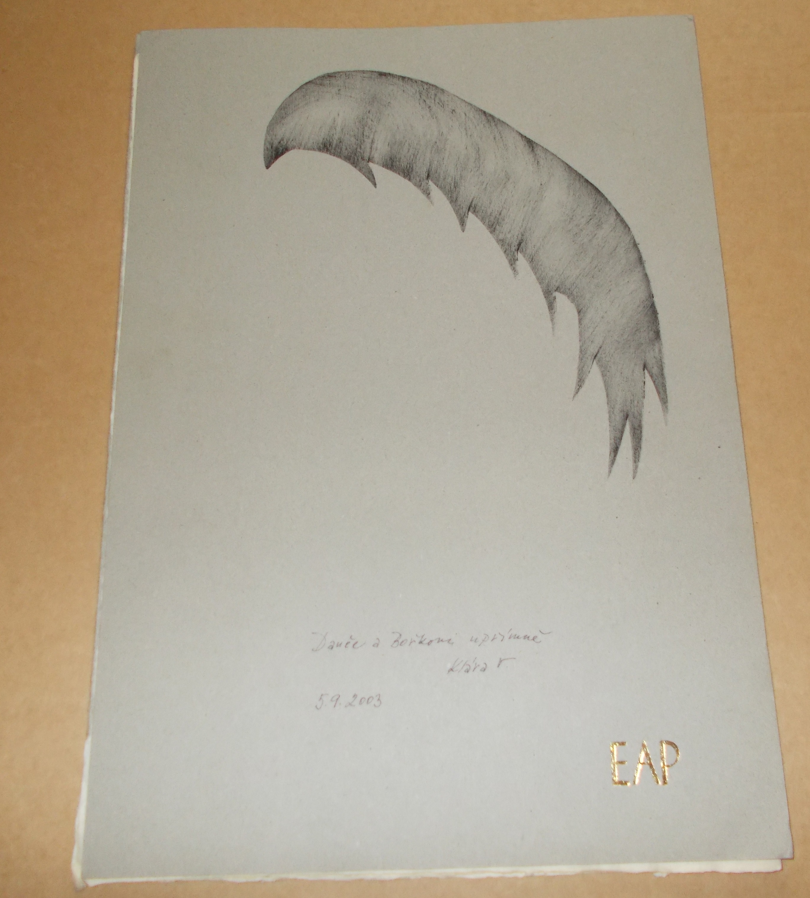 Edrar Alan Poe: Havran