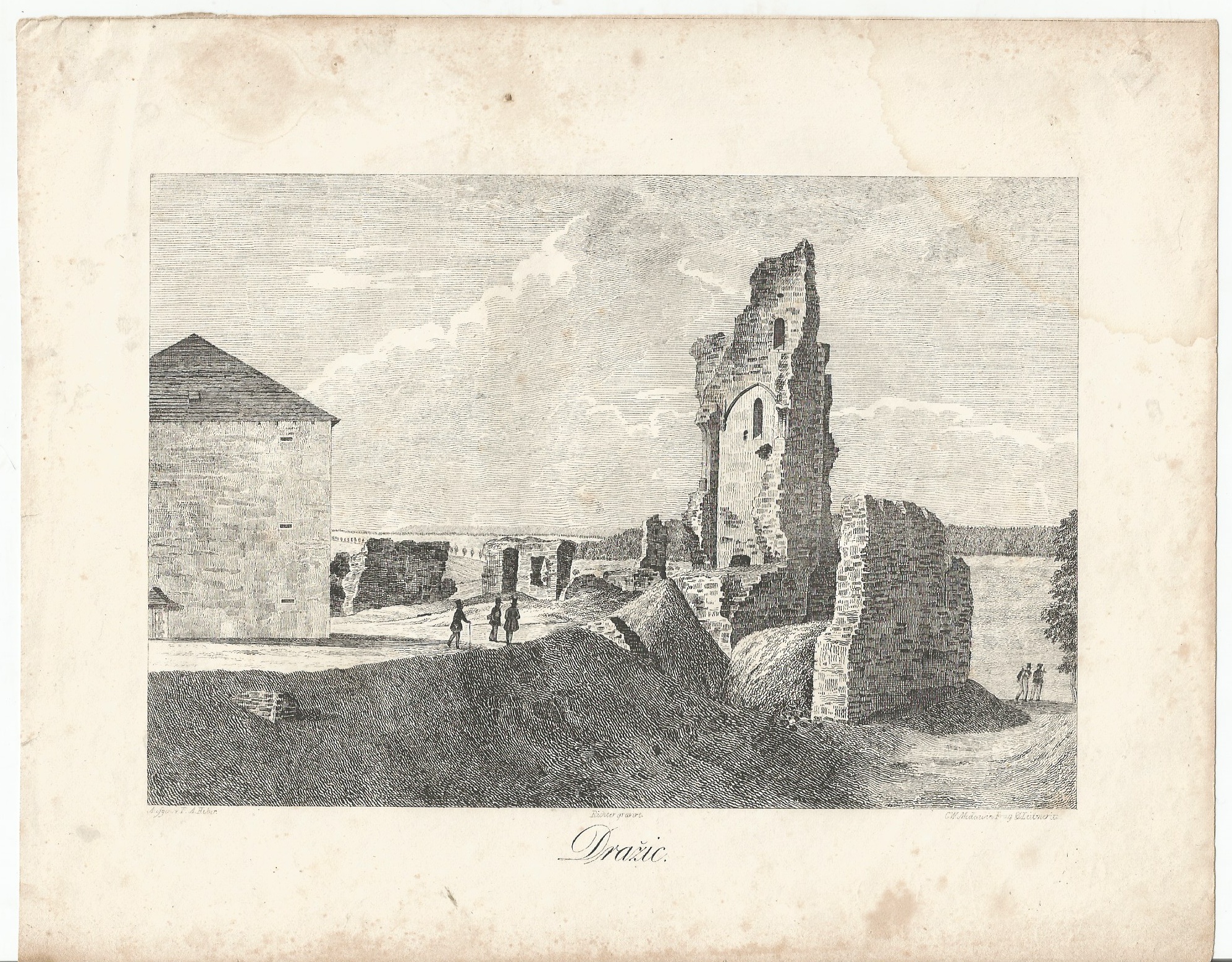 Richter: Dražice