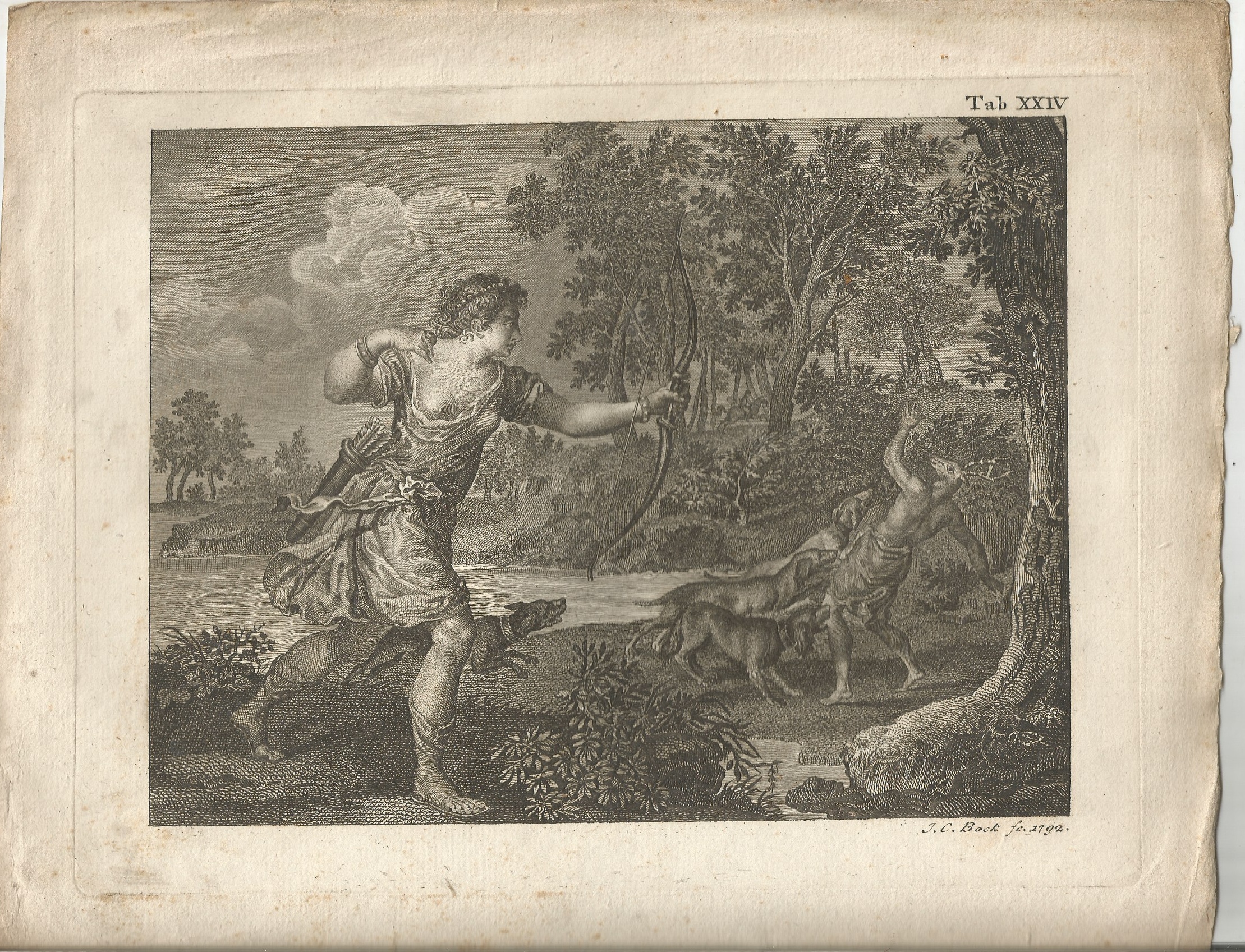 J. C. Bock