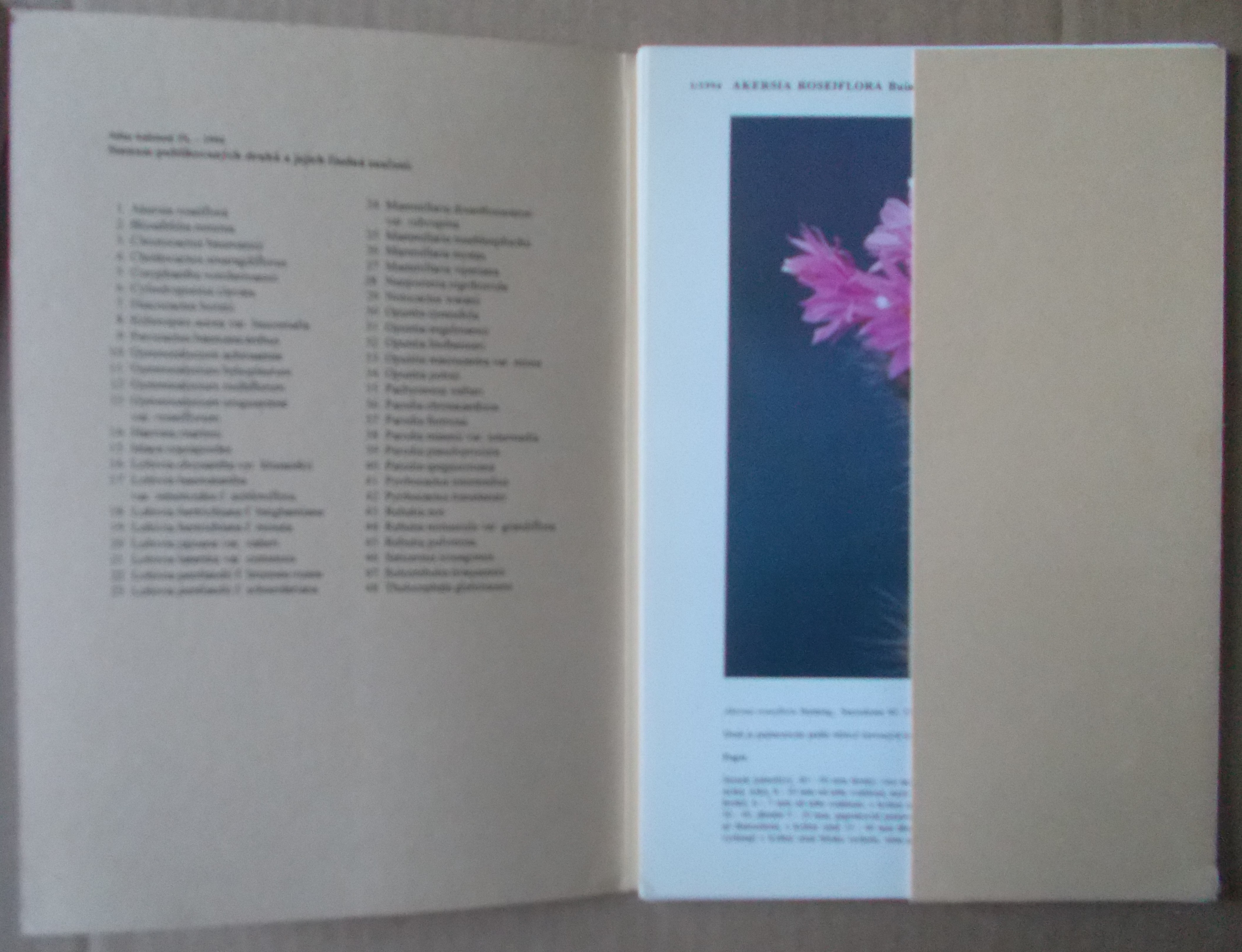Atlas kaktusů - komplet