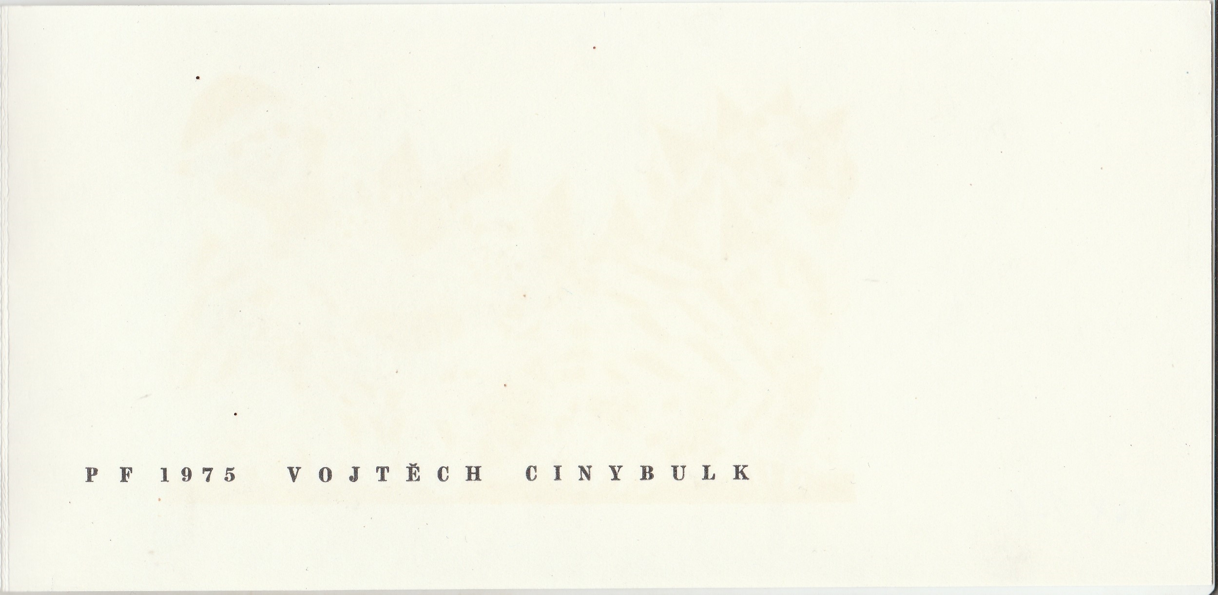 Vojtěch Cinybulk
