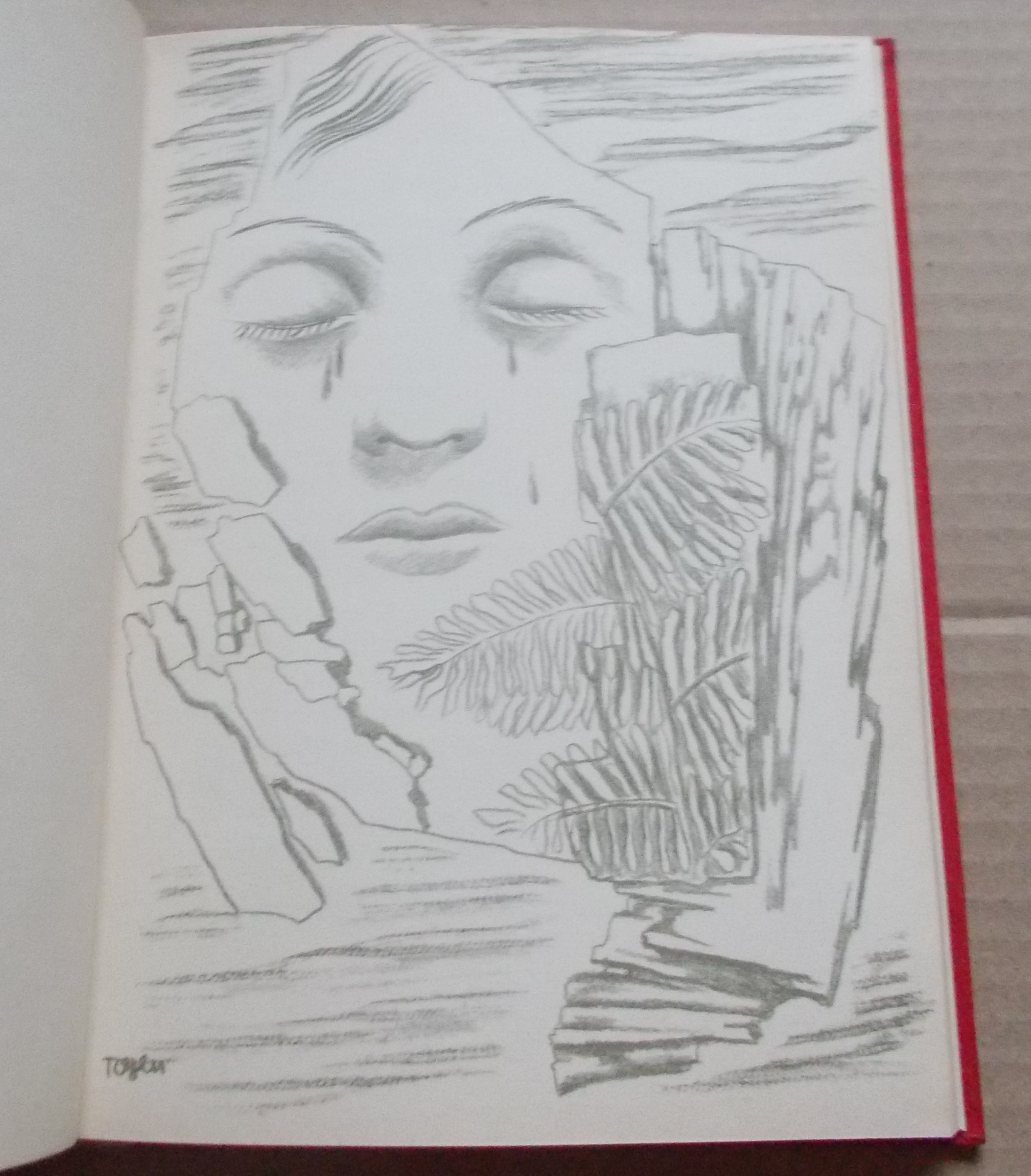 K. H. Mácha: Máj - ilustrace Toyen
