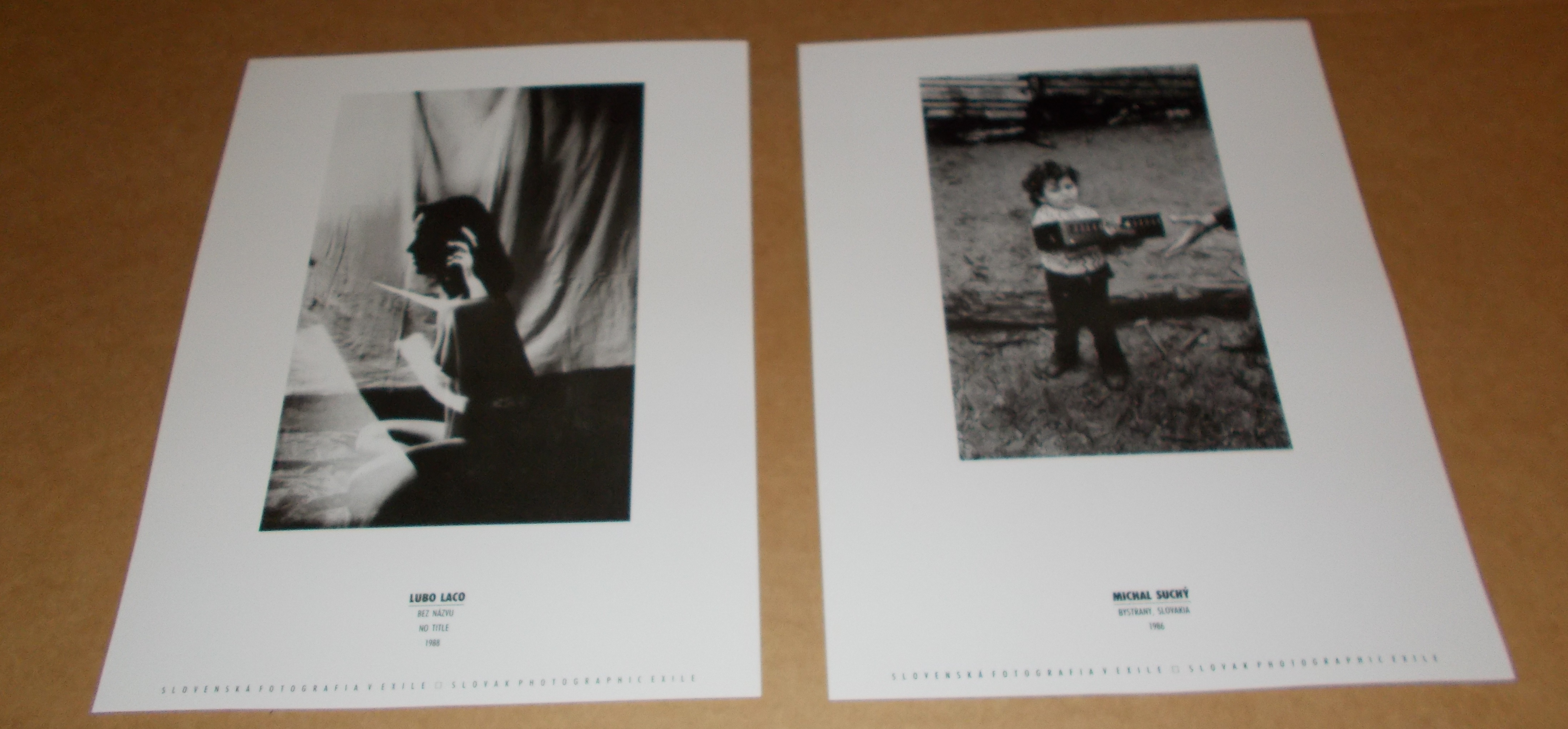 Slovenská fotografie v exile