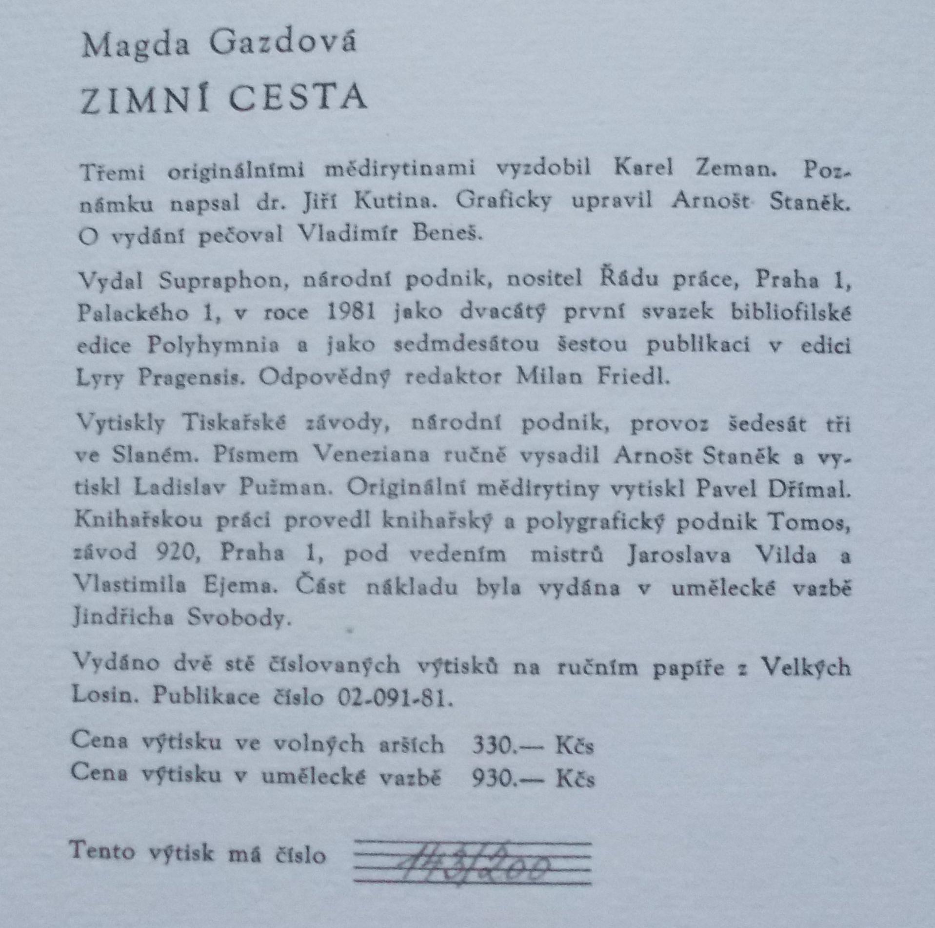 Magda Gazdová: Zimní cesta