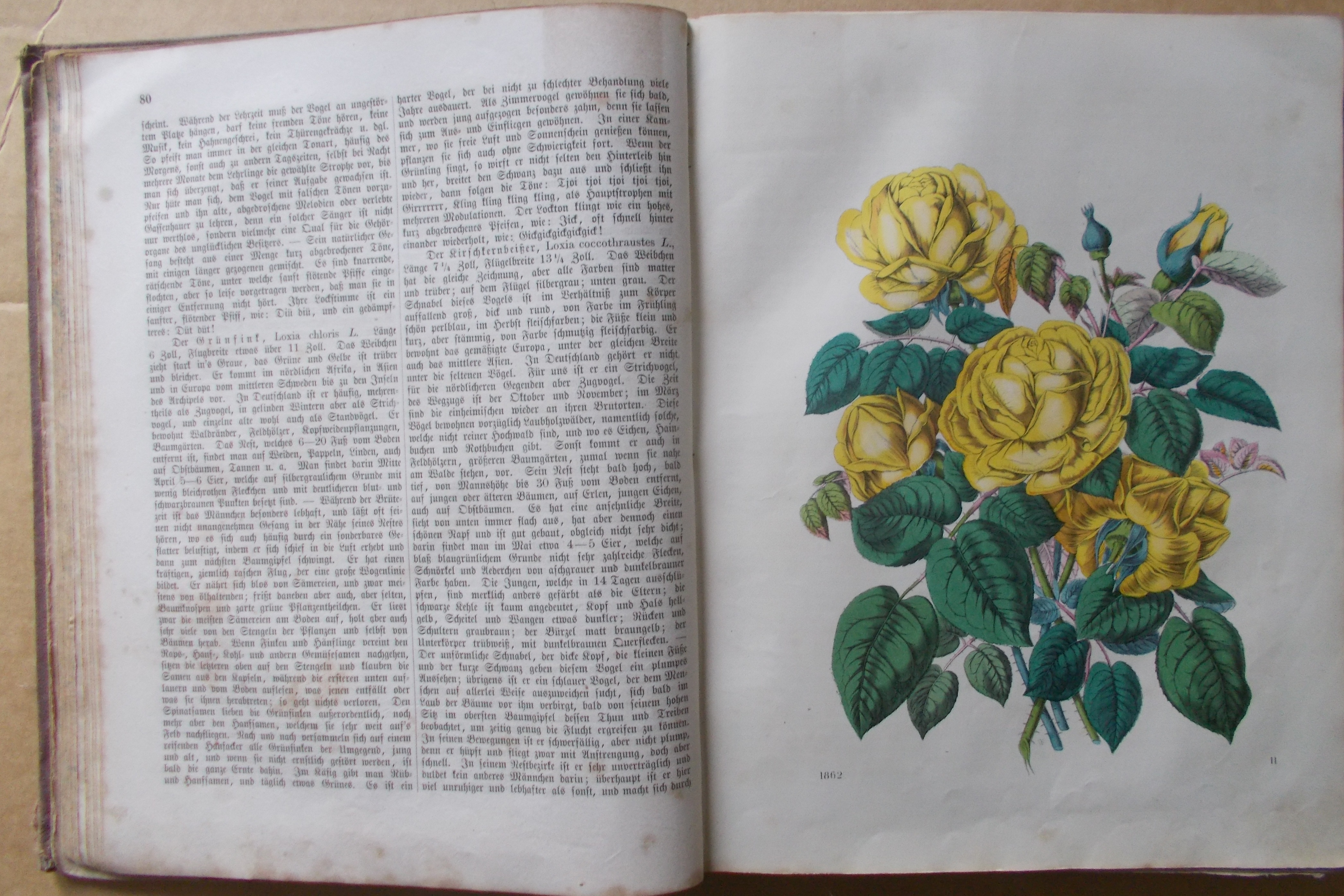 Das Buch der Welt 1862