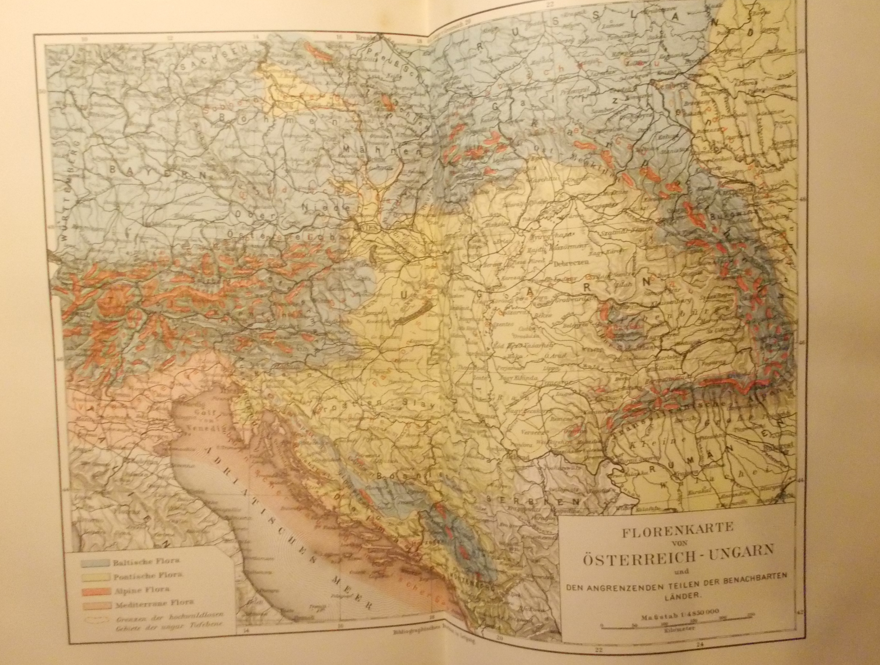 Anton Kerner von Marilann: Pflanzenleben