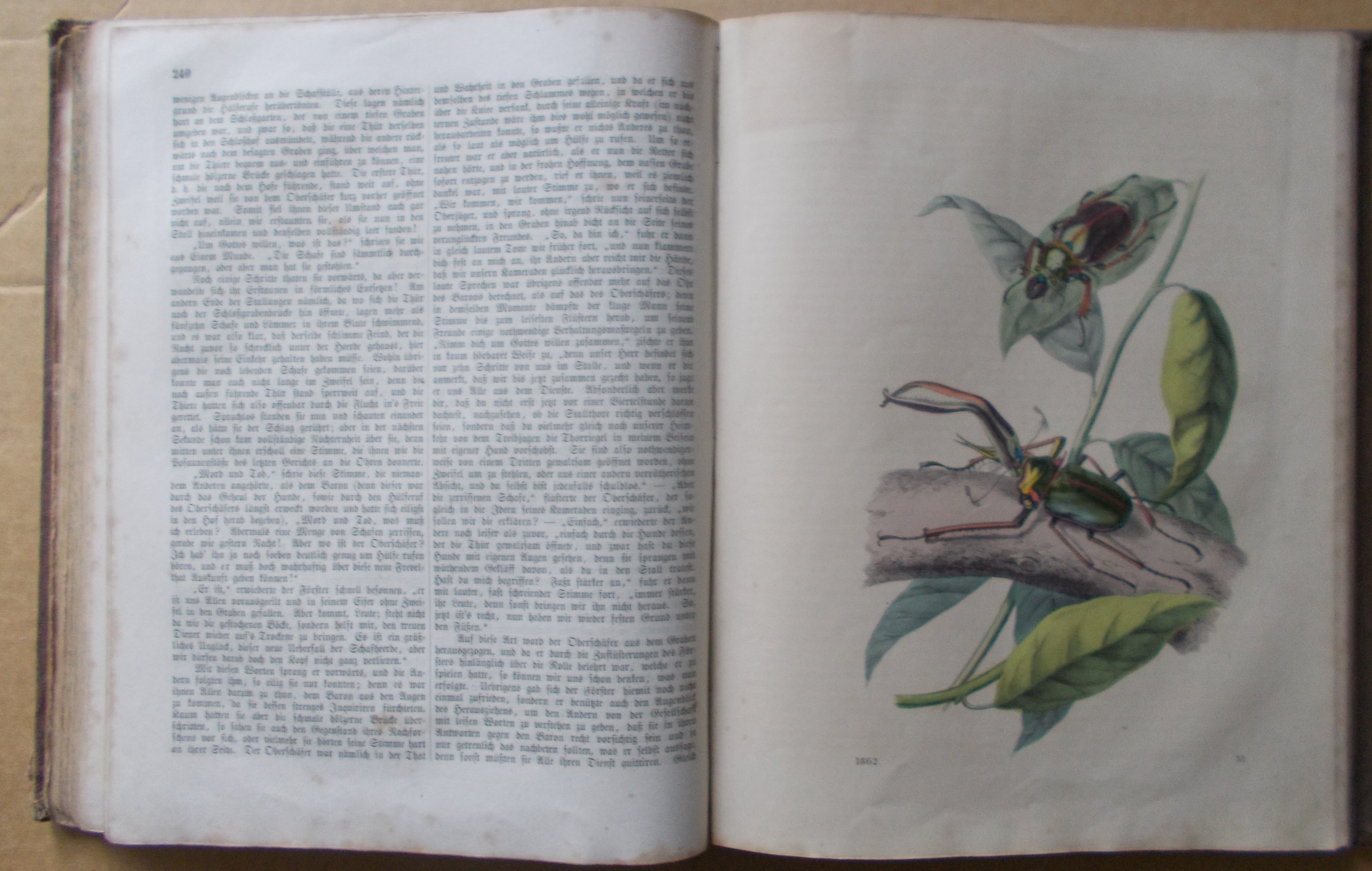 Das Buch der Welt 1862