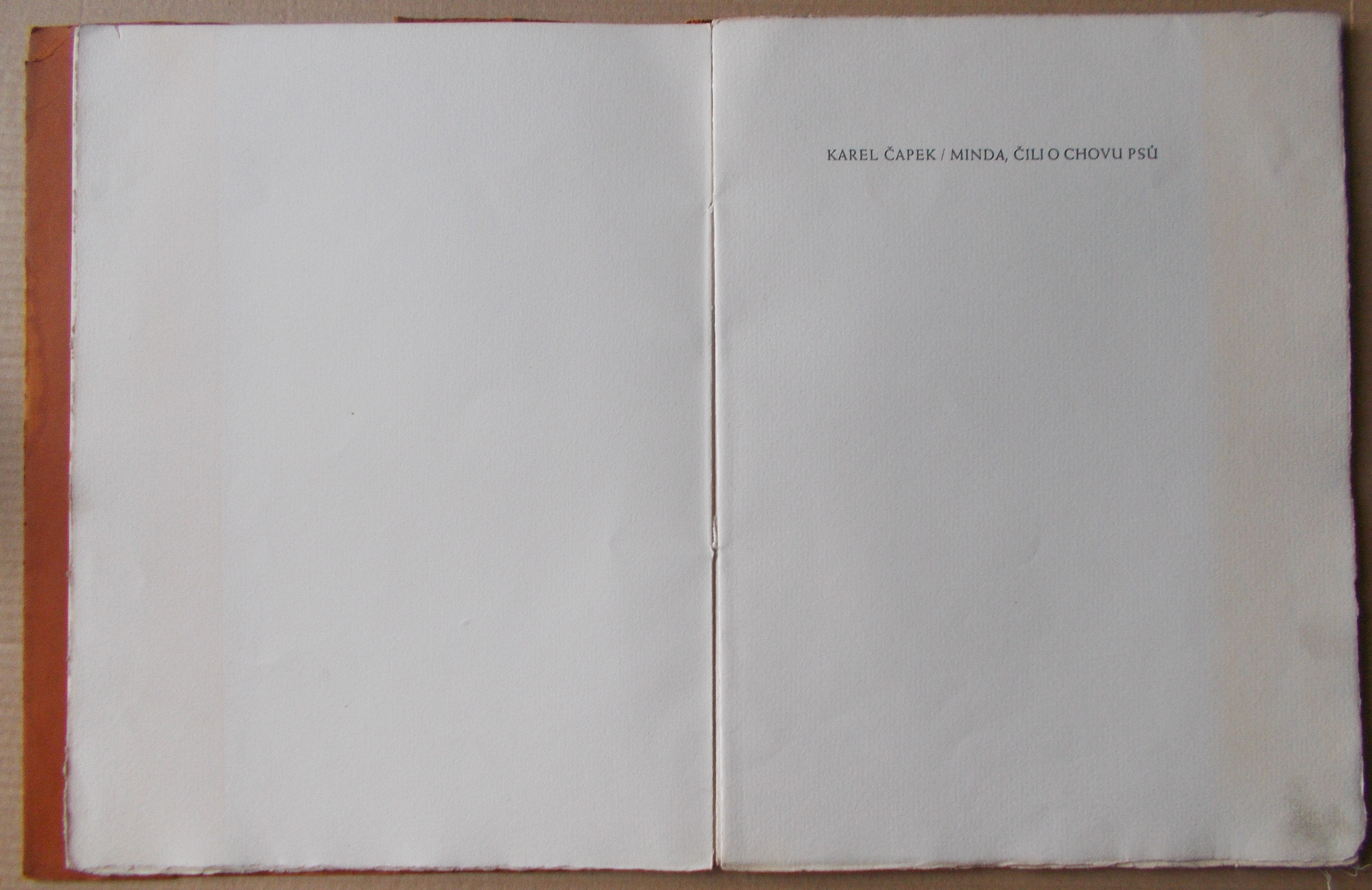 Karel Čapek: Minda čili o chovu psů