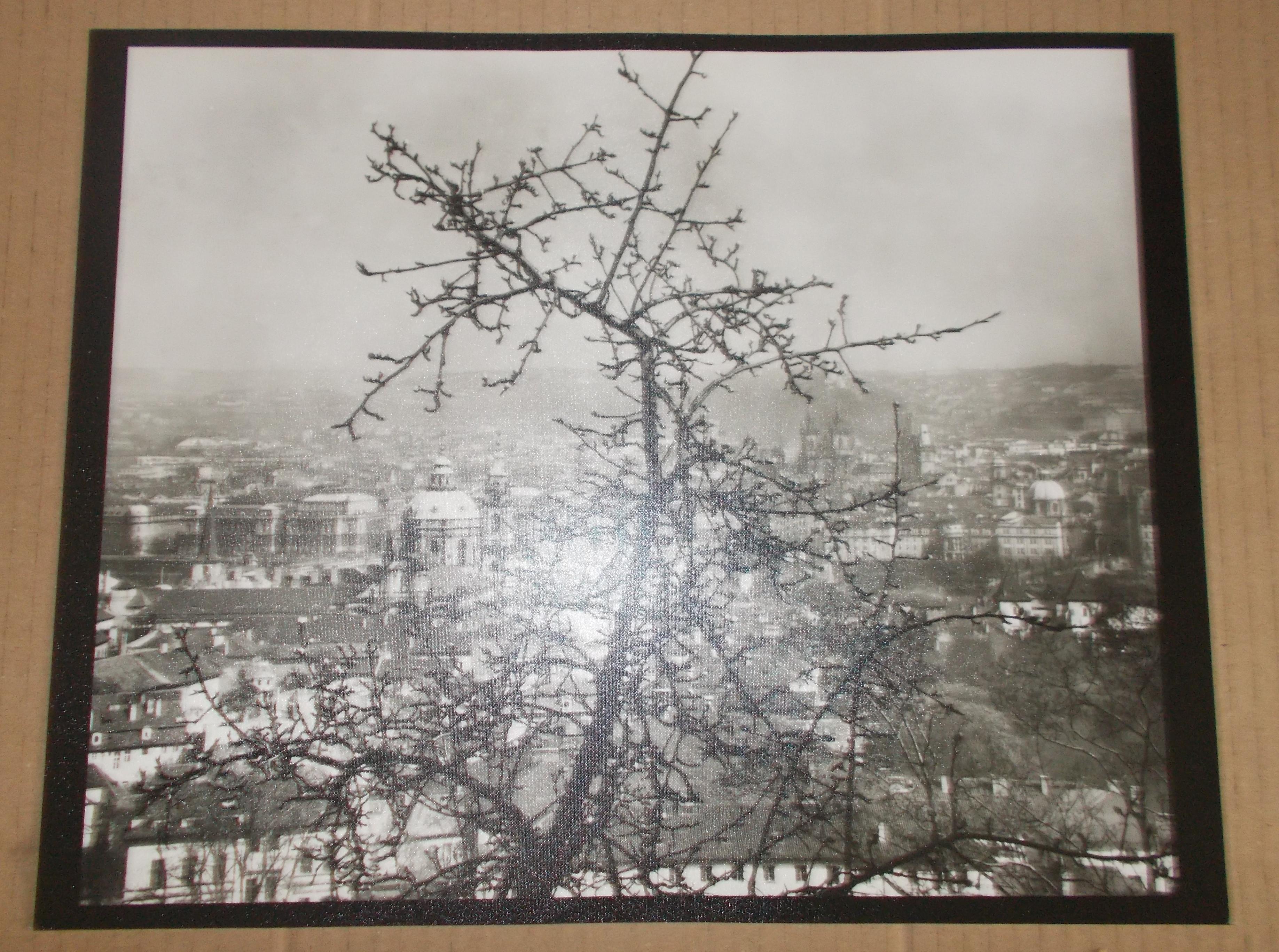 Josef Sudek: Soubor 13 fotografií