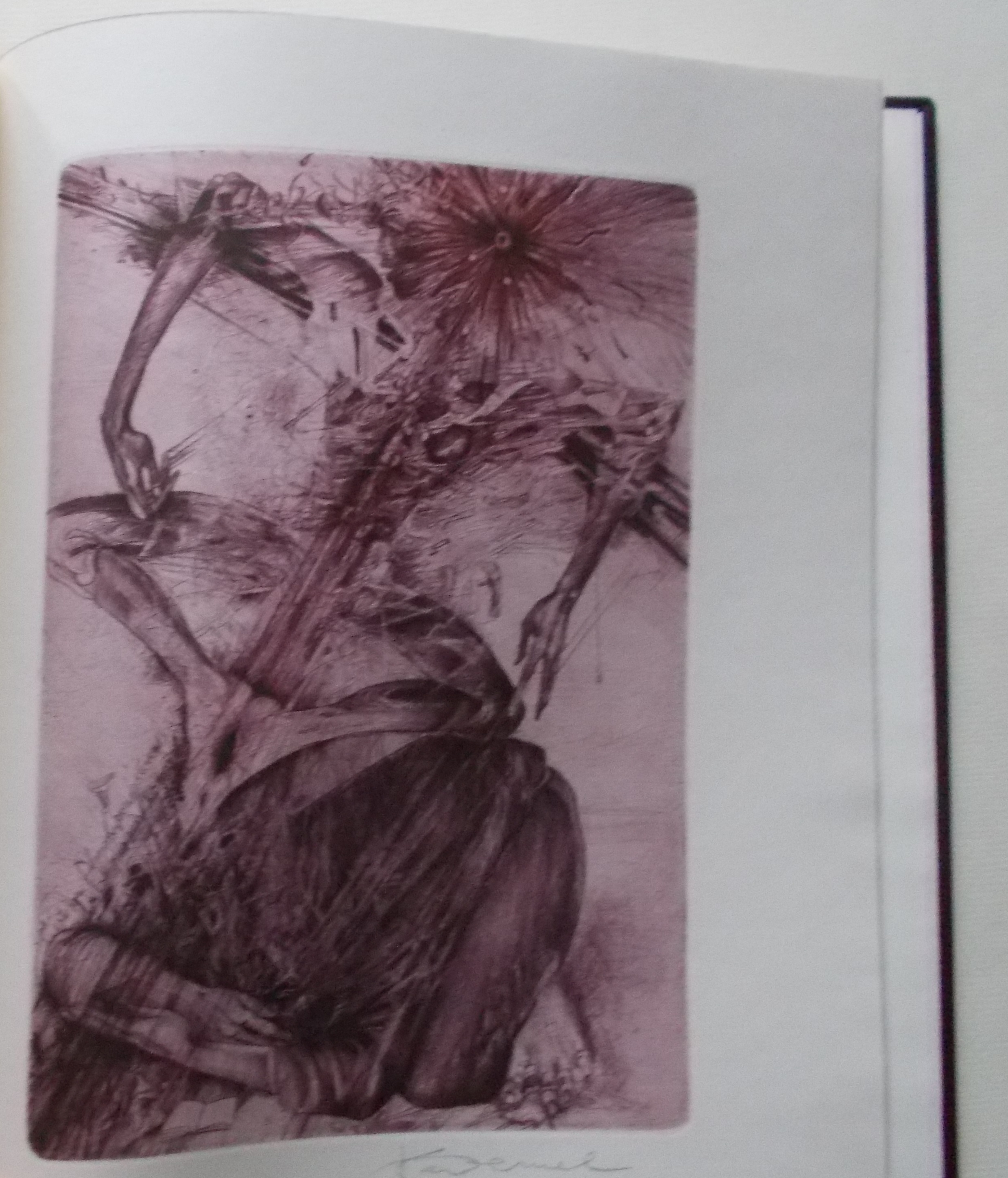 Arthur Rimbaud: Sezóna v pekle