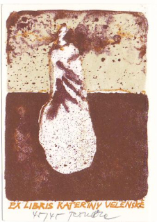 Pavel Roučka