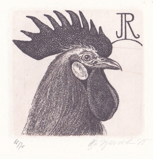 Olga Vychodilová