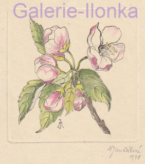 Máňa Jančáková