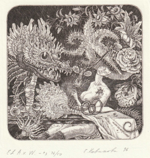 Elena Novikova