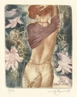David Bekker