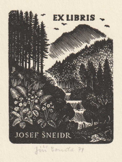Jiří Bouda