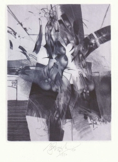 Jiří Brázda