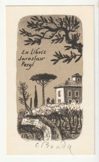 Cyril Bouda
