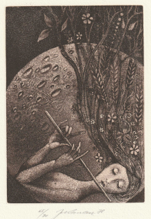 Jan Kavan