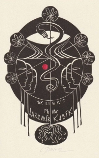 Ladislav Rusek