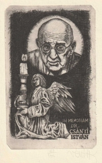 Zoltan Vén