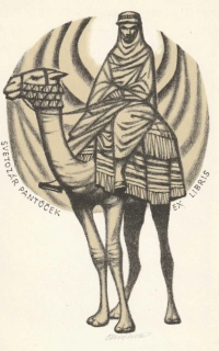 Vojtěch Cinybulk